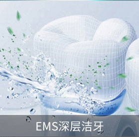 EMS